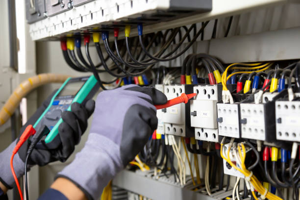 Best Electrical Panel Upgrades  in Holtsville, NY